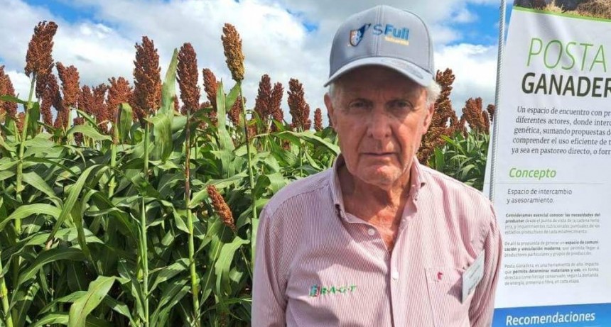 Sorgo: mitos, verdades y desafíos del cultivo que puede ser la estrella de 2024/25