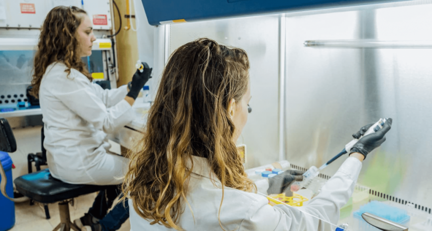 I+D en el campo: la inversión genética también germina brotes verdes en la vid y el olivo