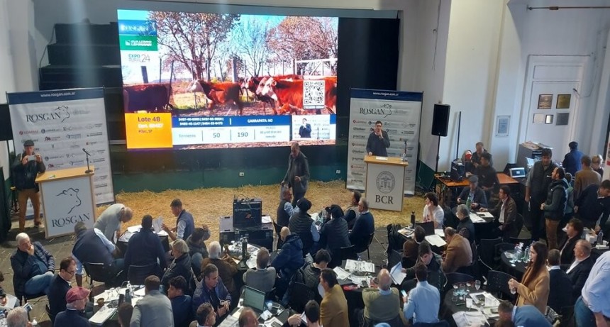 La hacienda busca tomar impulso: además de mejores precios, en La Rural se vieron mayores plazos