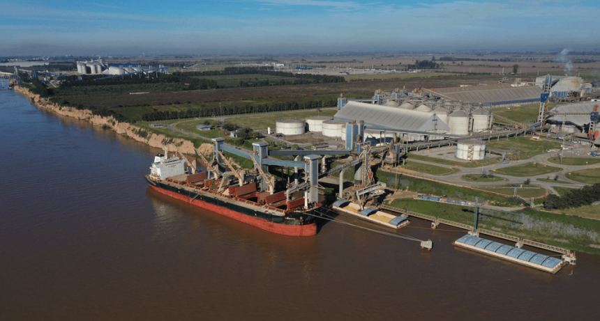 El trío que sostiene las exportaciones: 4 de cada 10 dólares los aportan la soja, el maíz y el trigo