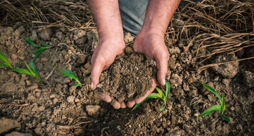 La Mesa Argentina de Carbono se amplía y pide una normativa que incentive proyectos sustentables