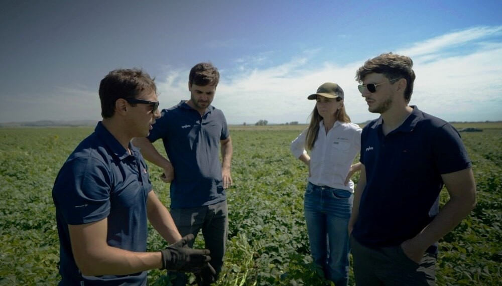Eficiencia y trazabilidad: la digitalización aporta múltiples beneficios en el cultivo de la papa