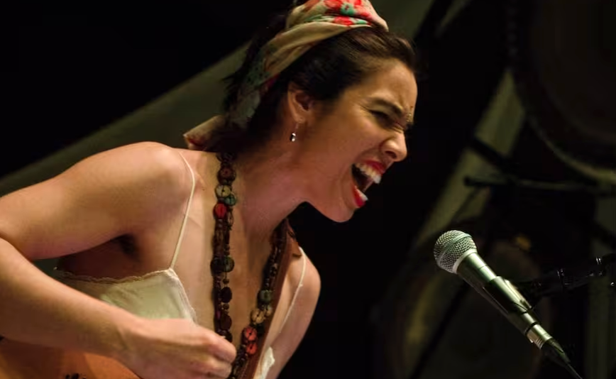 Murió la cantante y compositora de folklore Luvi Torres