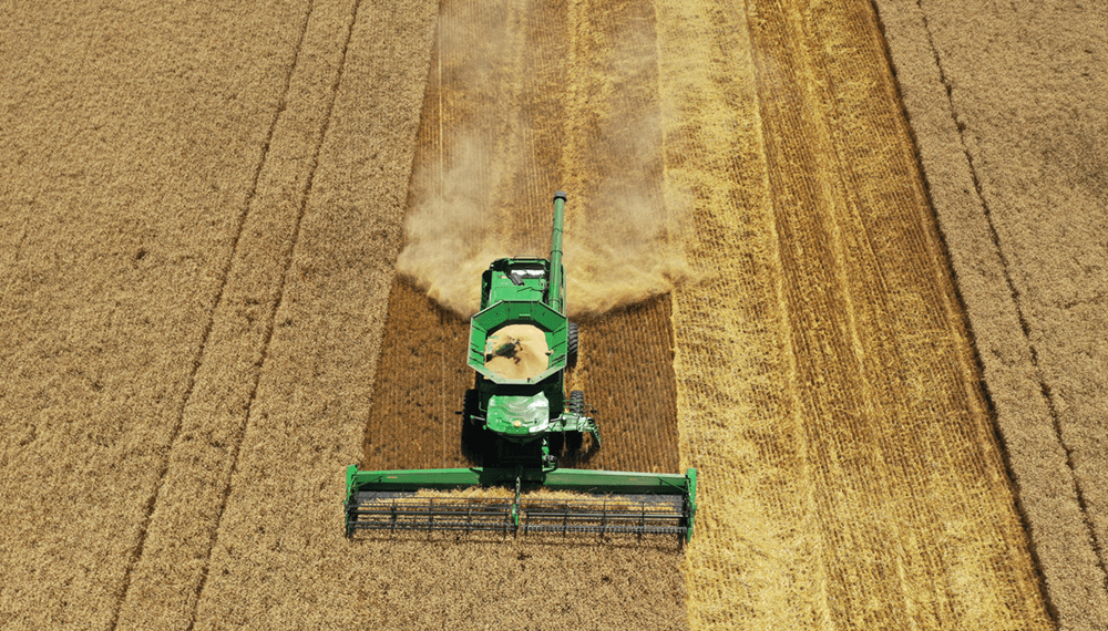 Estados Unidos y los aranceles: las oportunidades del agro argentino ante el nuevo contexto mundial