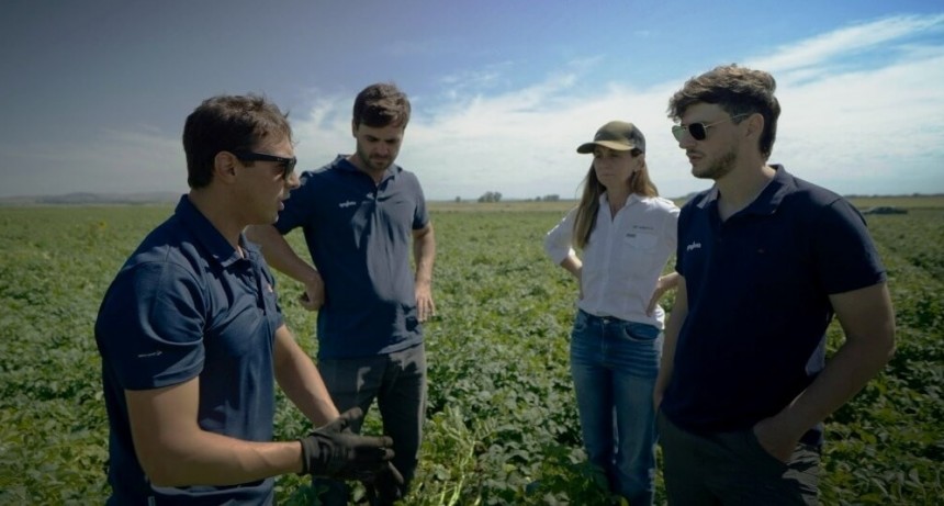 Eficiencia y trazabilidad: la digitalización aporta múltiples beneficios en el cultivo de la papa