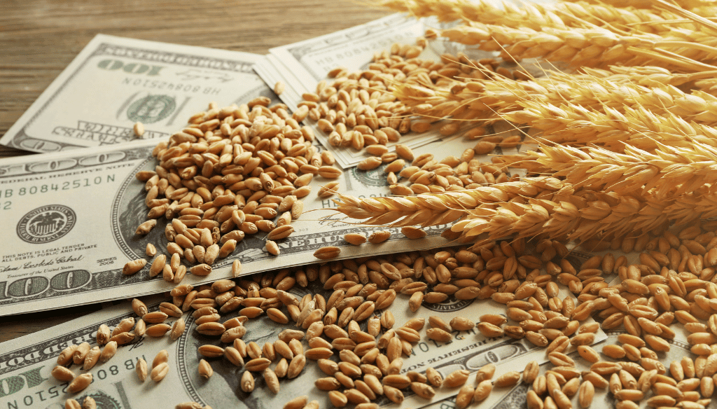 Radiograf&iacute;a del agro: cadenas exportadoras muestran una fuerte expansi&oacute;n durante 2026