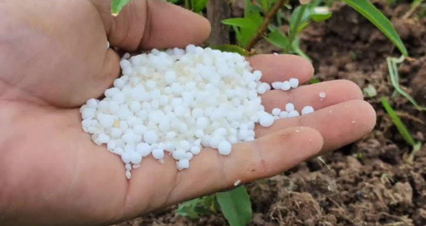 La urea llega en volumen y mantiene precios favorables para el agro