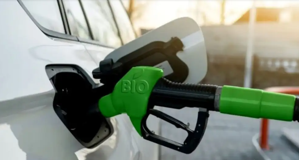 Argentina defendi&oacute; su soja ante Europa para sostener las exportaciones de biodi&eacute;sel