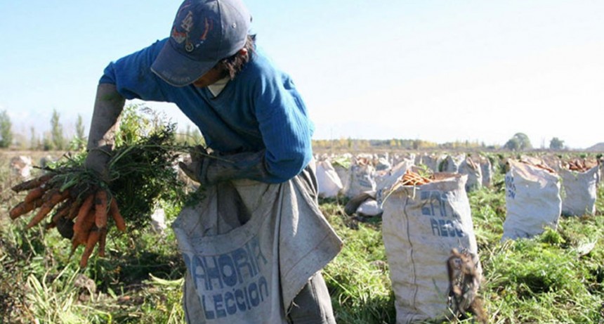 Aumento salarial 2021: cuánto cobrará el peón rural partir de agosto