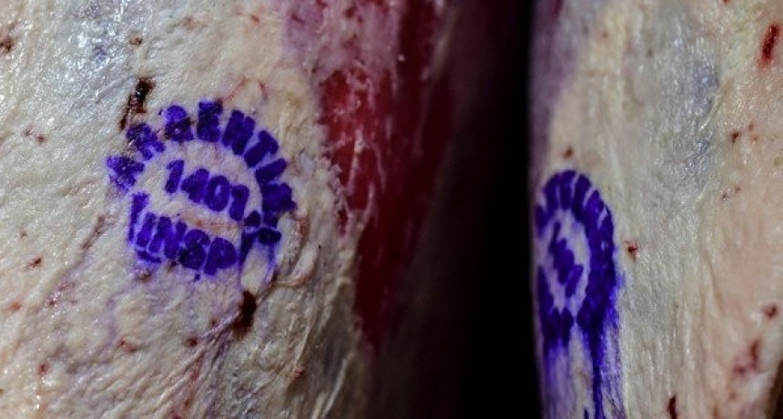 Basterra, en el Coloquio de IDEA: “Todavía faltan acuerdos para exportar más carne y satisfacer la demanda interna”