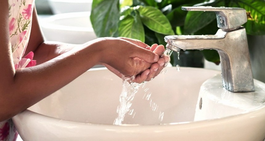 Por un tipo de alga reducen el servicio de agua potable en la capital bonaerense