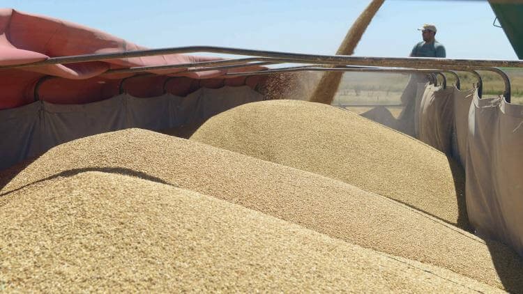 Agroexportadores comenzaron a “adelantar” los dólares prometidos al Gobierno