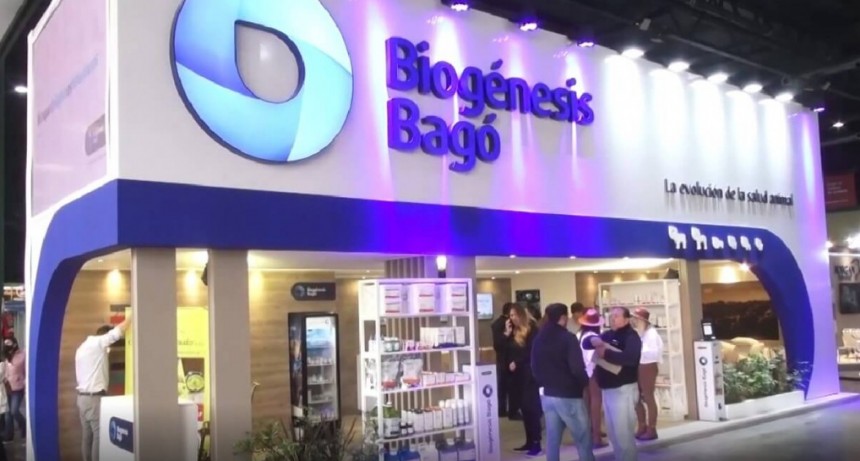 Llega la temporada de servicios: vacunar y sincronizar, los verbos clave para una buena preñez