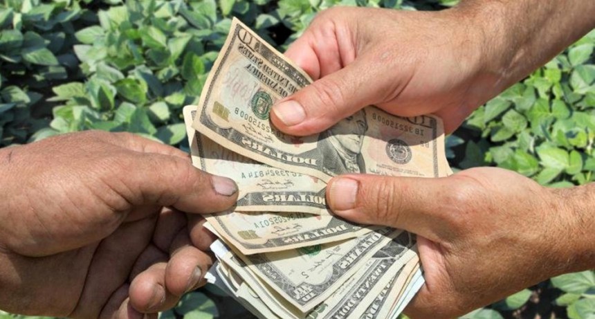 CRA: “Un dólar a precios de mercado, MEP o Blue, es lo único que puede modificar incentivos”