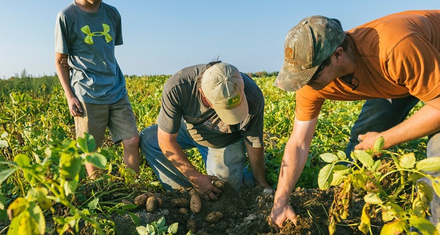 ¿Cómo revertir el balance negativo de carbono en el suelo?