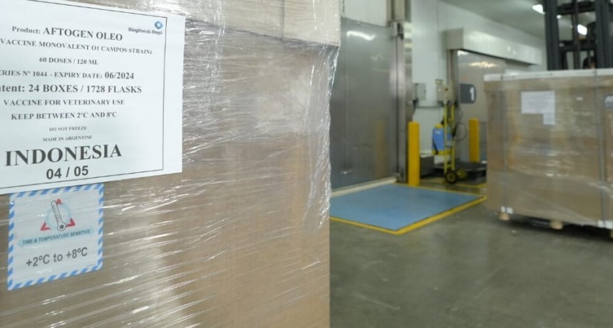 Por primera vez, Argentina exportó vacunas contra la aftosa a Indonesia