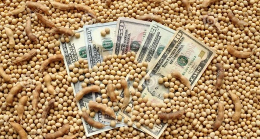 Salvavidas “verde”: sin el aporte récord del agro, las reservas del Banco Central serían negativas