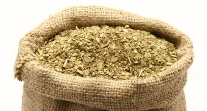 Yerba orgánica: los sorprendentes datos de su crecimiento en Argentina