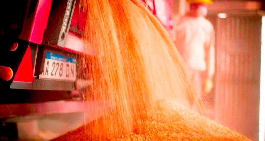 Moliendo récords: la empresa familiar del agro que fue certificada por su compromiso social