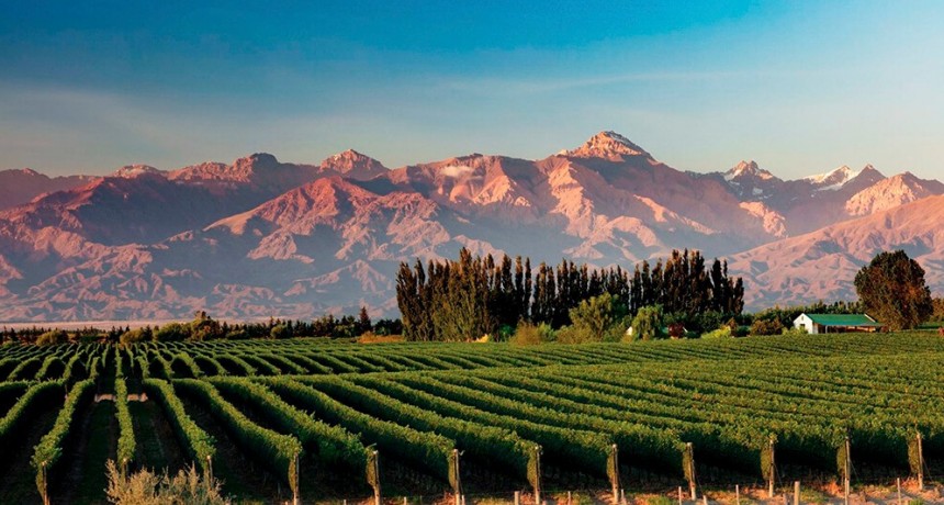 En la carrera global del “vino de terroir”, ¿cuáles son las zonas de Argentina más codiciadas?