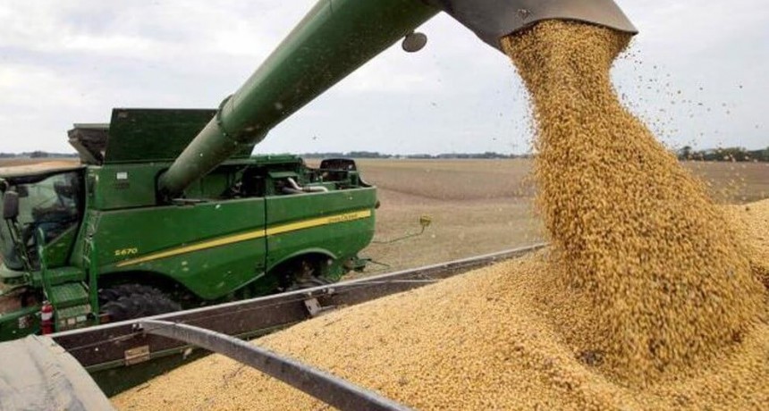 Retenciones: con una baja al 25% para soja, la liquidación podría crecer en U$S 8.600 millones