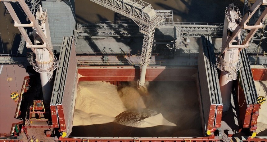 Campeón mundial: Argentina vuelve a liderar las exportaciones globales de harina de soja