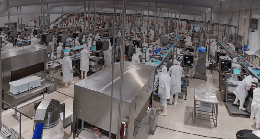 Pese a los menores precios, la carne vacuna argentina consolida su perfil exportador