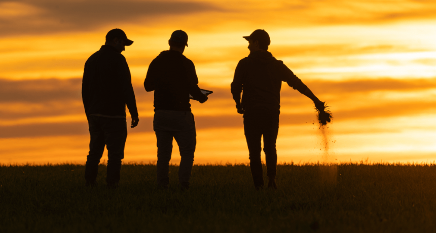 Empresas familiares en el agro: los desafíos de la profesionalización y el recambio generacional