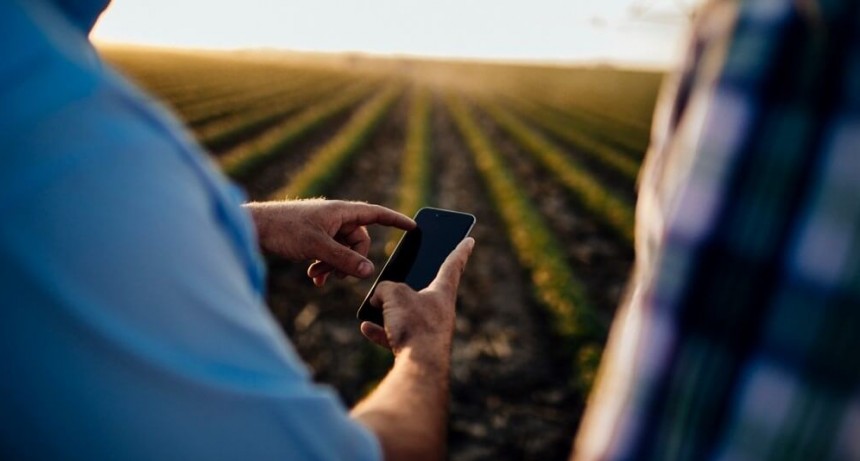 Crece el financiamiento para el agro, con los créditos en dólares a la cabeza de la demanda