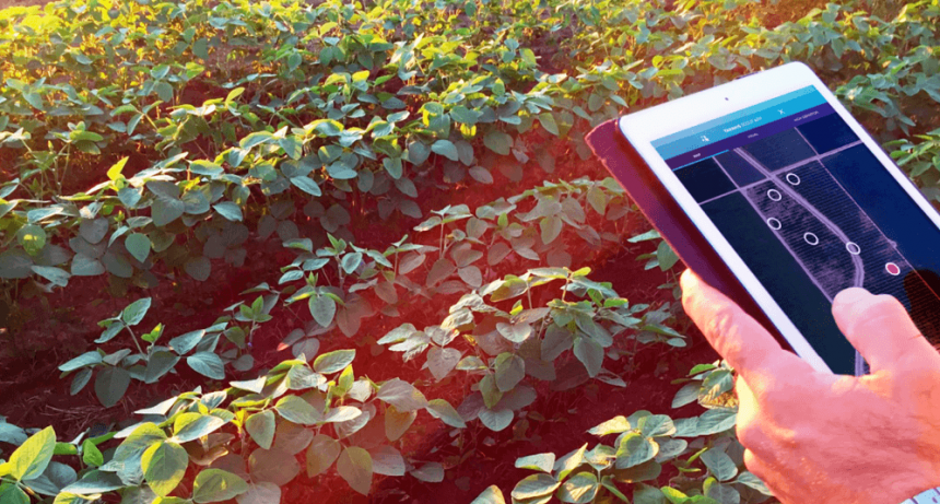 AgTech: el INTA y el IICA promueven la digitalización agrícola formando una Red Interamericana