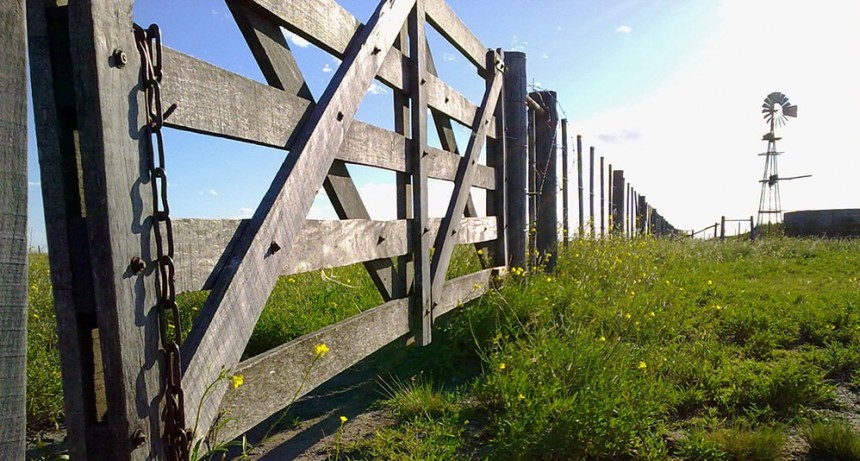 Cayó nuevamente la actividad inmobiliario rural