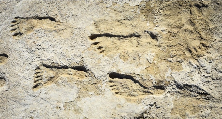 Huellas de 23.000 años reescriben la historia humana de América del Norte