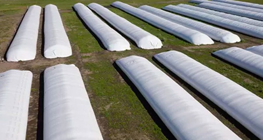 Más presión al campo: el productor que no venda el 95% de su soja, pagará más tasa de interés