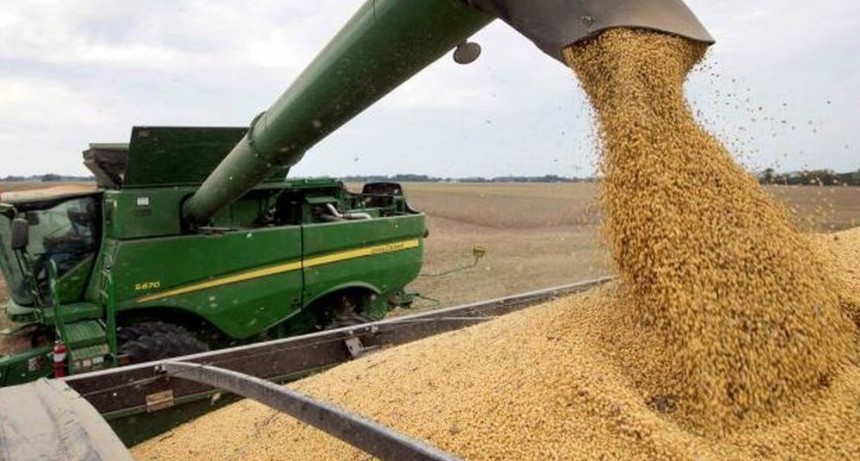 Retenciones y liquidación de divisas: tres escenarios sobre lo que puede esperarse del “dólar soja”