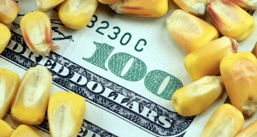 Terminó la vigencia del “dólar agro” y agosto prolongó el tobogán en la liquidación de divisas