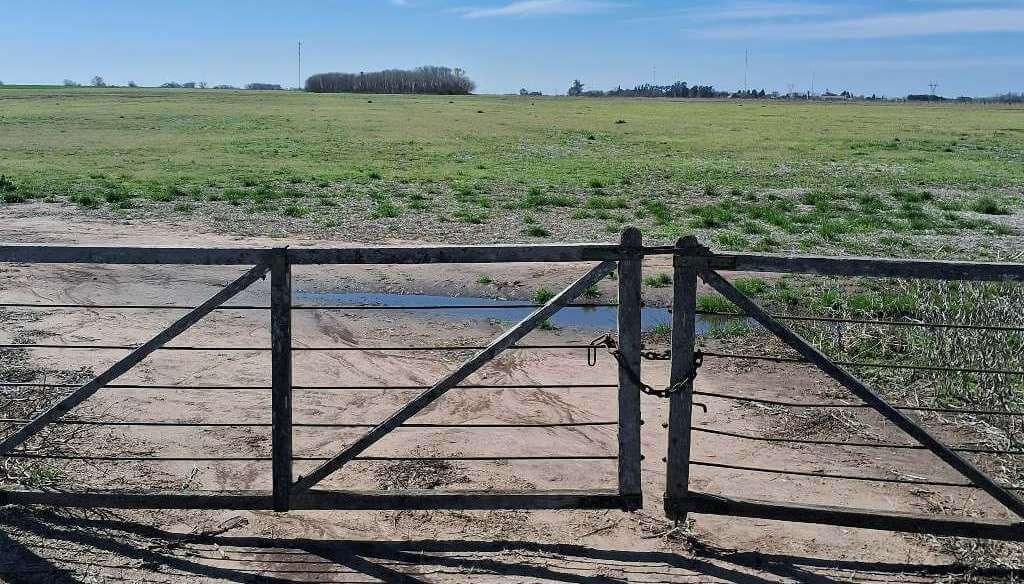 Lluvias espaciadas en el tiempo y altas temperaturas: lo que viene en una campaña con “Niña tardía”