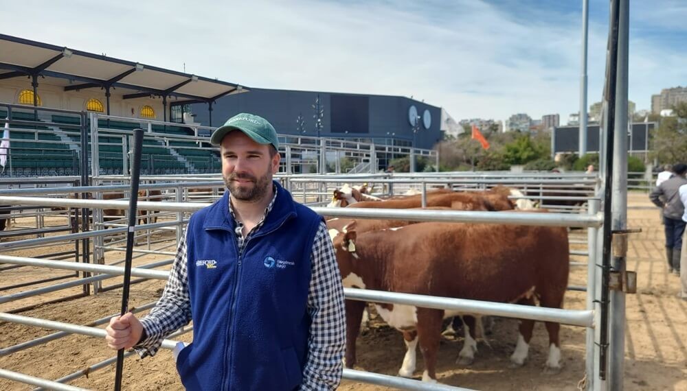 Genética bovina: un jurado cuenta los secretos a la hora de la selección de los mejores animales