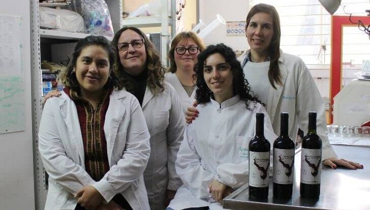 El efecto multiplicador del malbec: Buenos Aires debuta con “cepa propia” en el mundo del vino