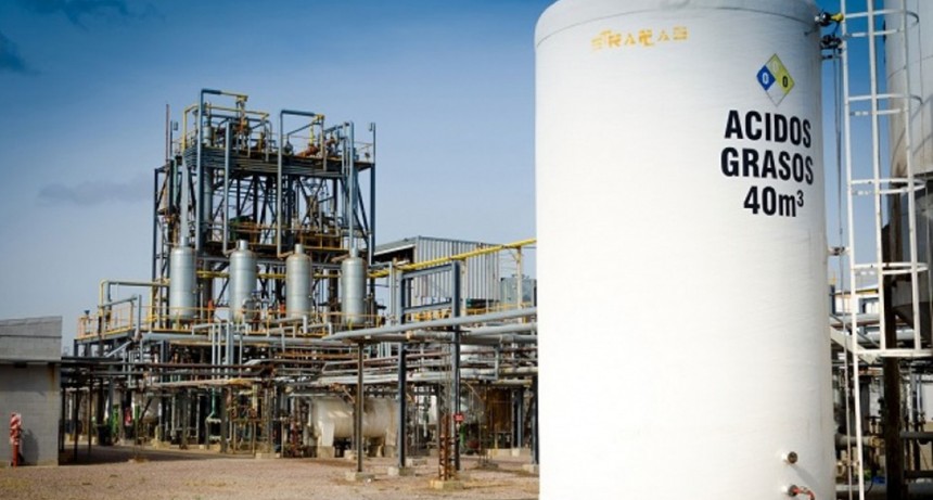 Se abrió una grieta en los biocombustibles: pymes del biodiésel, contra la “Liga Bioenergética”