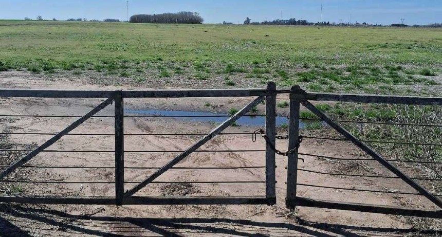 Lluvias espaciadas en el tiempo y altas temperaturas: lo que viene en una campaña con “Niña tardía”