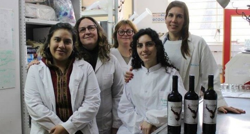 El efecto multiplicador del malbec: Buenos Aires debuta con “cepa propia” en el mundo del vino