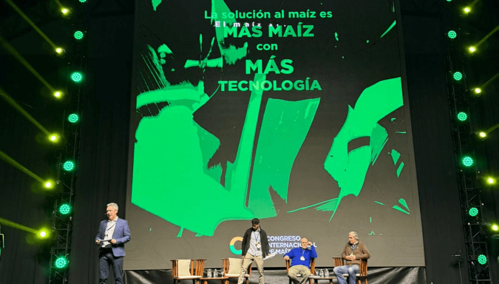 En el corazón de la Pampa semiárida, La Luna alumbró un logro inesperado en el maíz: hasta 85 qq/ha