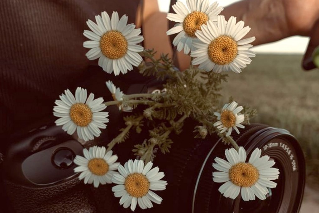 Safari fotográfico: ¡Primavera, cámara, acción!