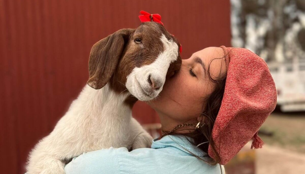 Pasión por los animales: vendió comida en la escuela hasta comprarse una oveja, y hoy apuesta por la genética