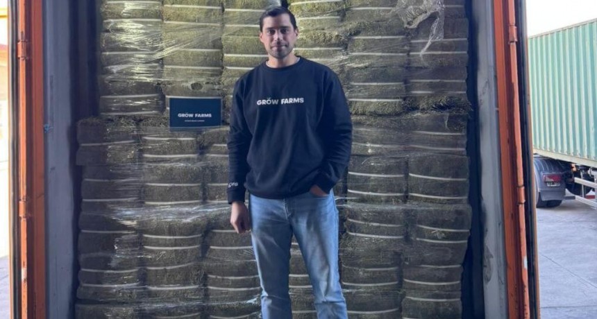 La alfalfa argentina pisa fuerte en África: San Luis concreta su primera exportación a Ghana