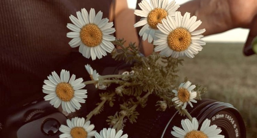 Safari fotográfico: ¡Primavera, cámara, acción!