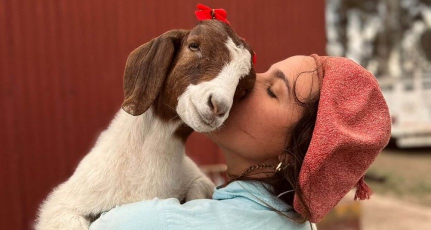 Pasión por los animales: vendió comida en la escuela hasta comprarse una oveja, y hoy apuesta por la genética