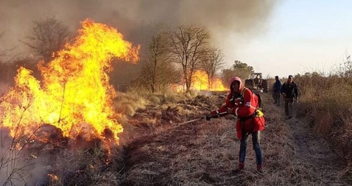 Buscan identificar a los responsables de los incendios forestales en Santiago del Estero