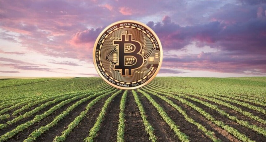 Agrotoken: la plataforma que permite al agro realizar actividades comerciales con tokens