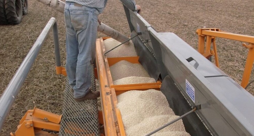 La falta de agua también impactará en una fuerte caída del uso de fertilizantes